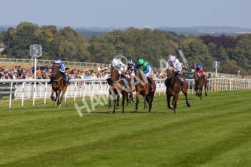 310824-Race 5-Bassadanza-1796 - Race 5