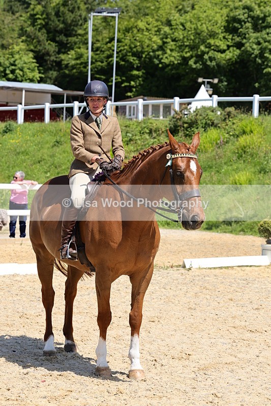 1X9A1927 - Class 12: Ridden Riding Horse/Hack