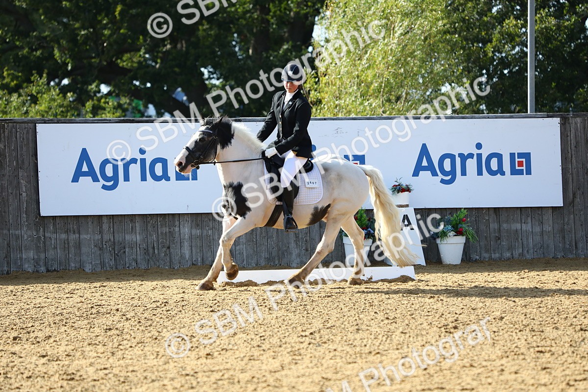 SBM_52509 - D23 - Junior Championship Prelim 1