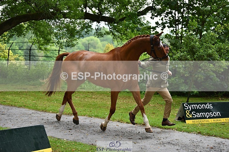 240522-152708-00352 - 356-CREEVAGHSTABLES_IFICUDIWUD-Tim_Cheffings