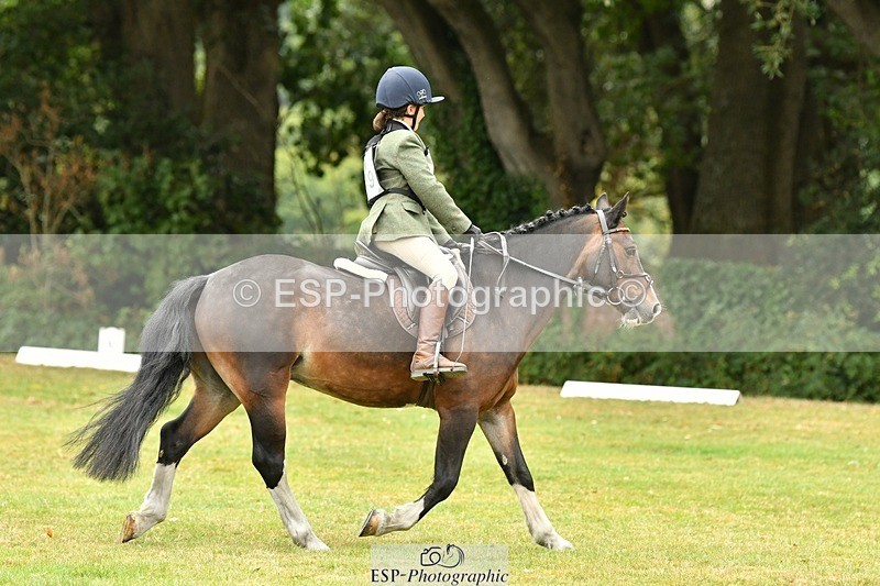 250820A-111405-04953 - 11am to 12