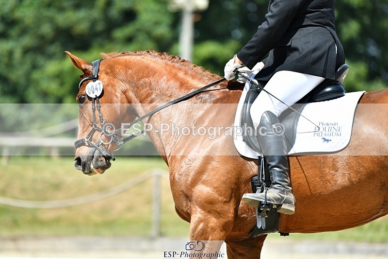 230623-125125-02273 - Cls 4 Novice 37Q 12.45 to End