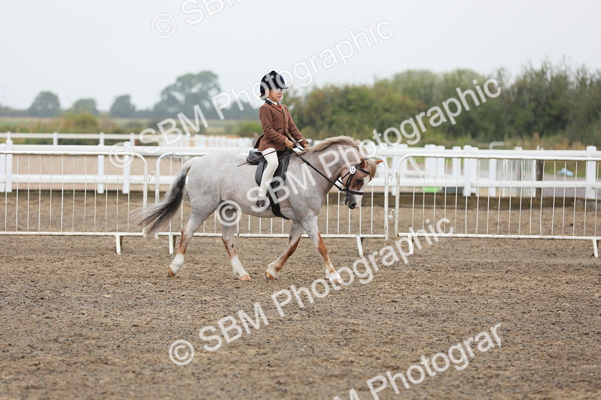 SBM_21809 - Class 806 - Young ridder 10 Yr & Under