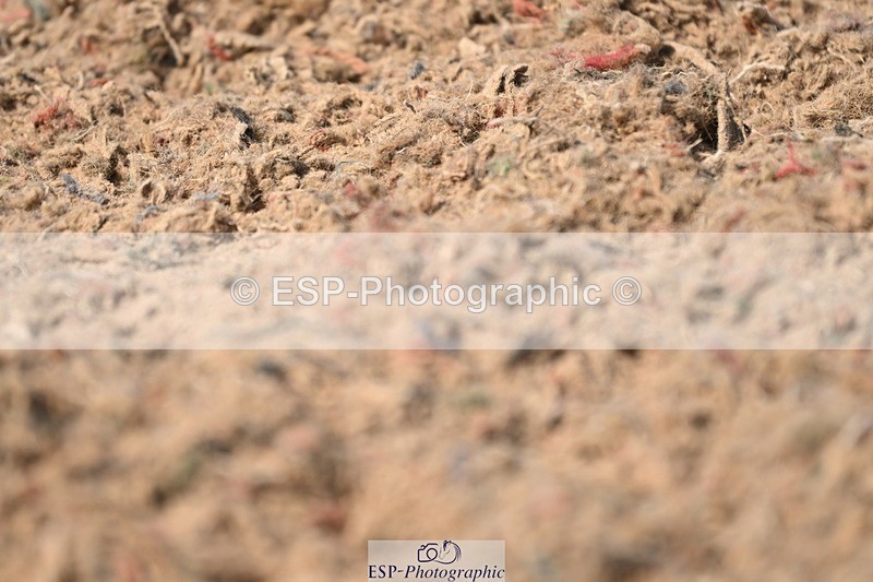 250620-161911-04484 - BD Cls 13 - Adv Medium 5