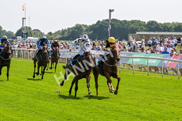 130625-Race 2-Carnation Queen-8632 - Race 2 2.25pm Coopers Marquees Rous Selling Stakes