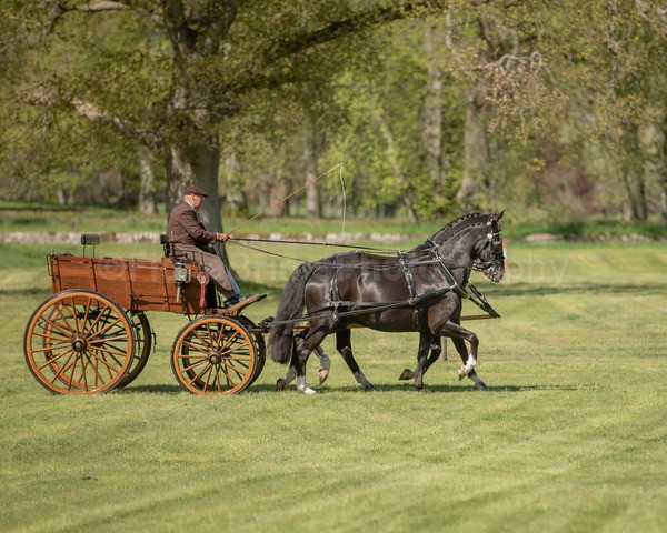 Attelage -722 - CIAT Glamis 2026