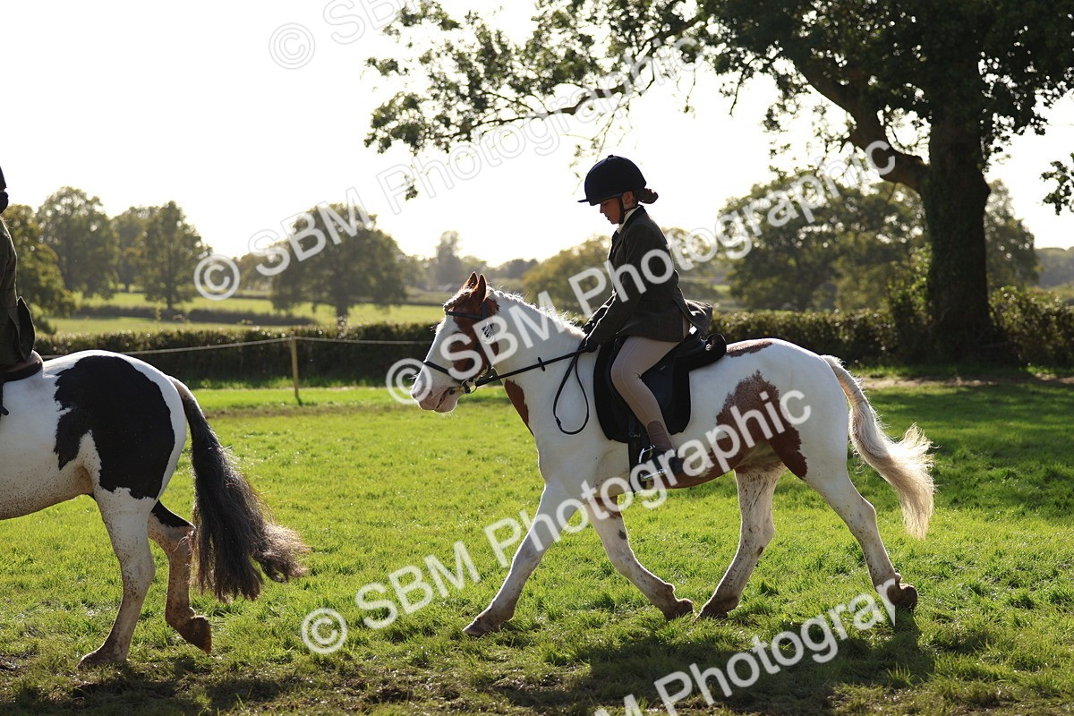 SBM_52438 - S13 - Pony Club Pony