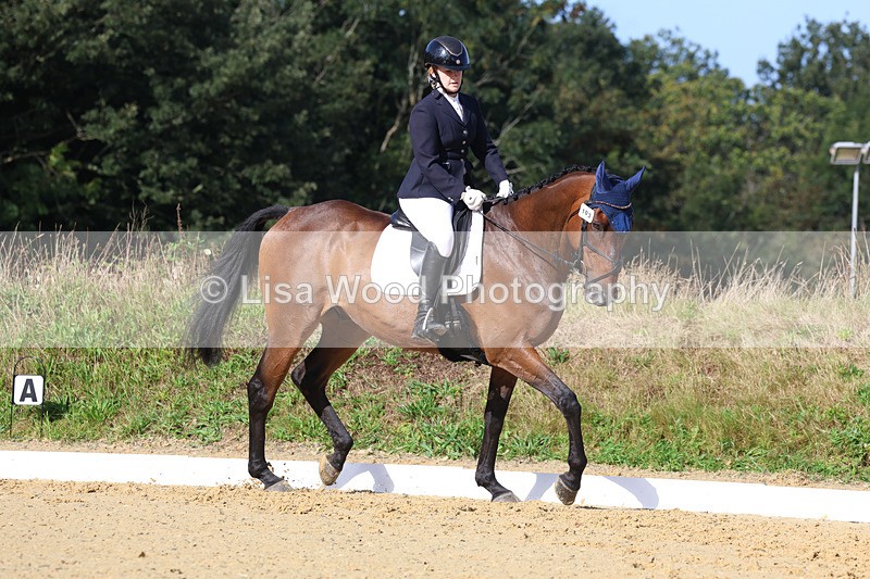 3E7A2534 - Class 1: Intro 4 2024 section A