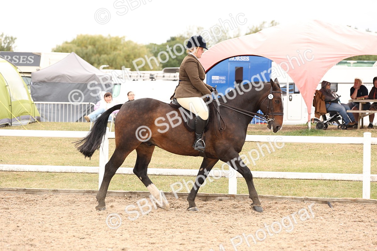 SBM_19491 - Class 215 - Ridden Show cob