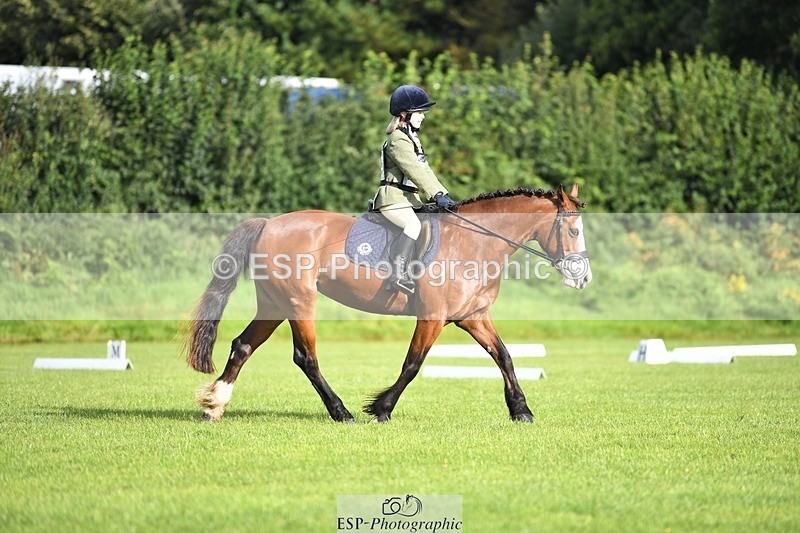 230826-090516-15025 - Sections C & D 9 to 10am