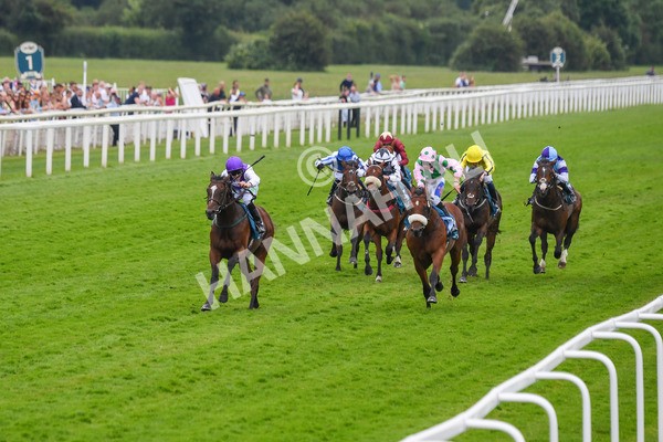 170623-Race 5-Twilight Romance-0766 - Race 5 4.15pm Reg Griffin Appreciation ebfstallions.com Maiden Stakes