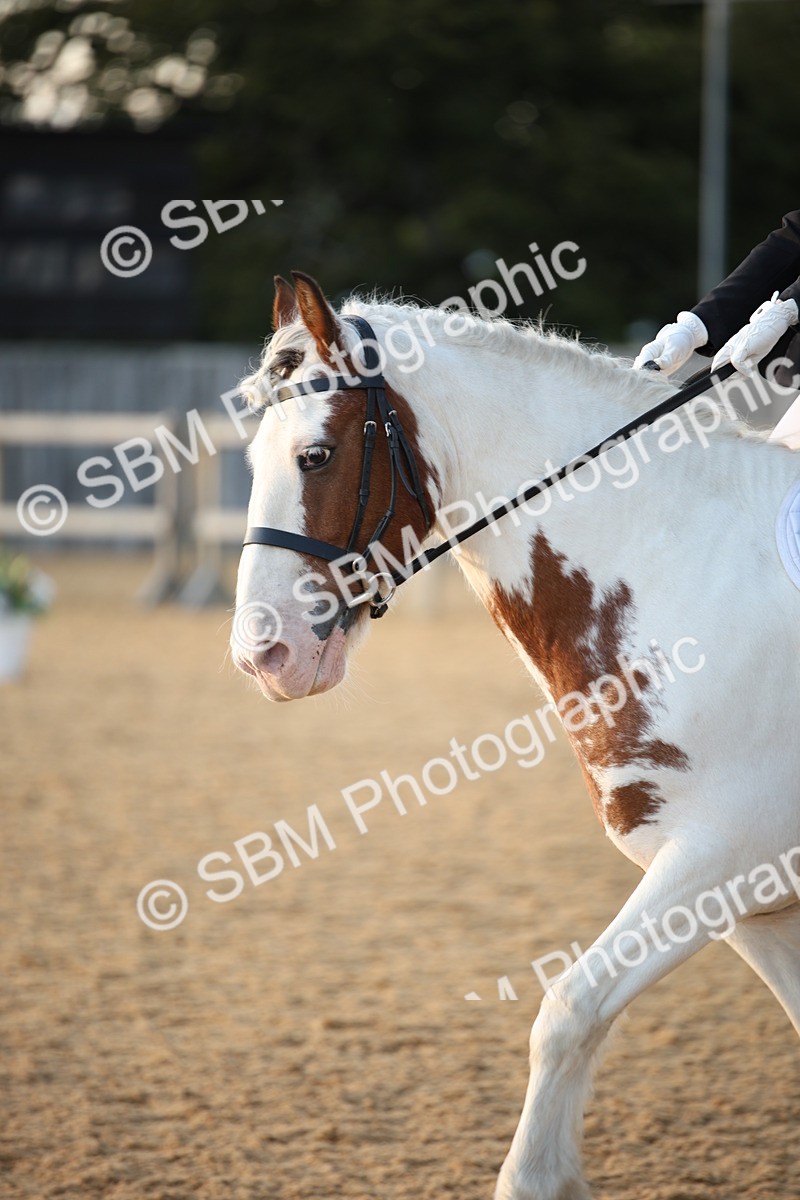 SBM_31547 - D11 - Small Tour Championship - Prelim 13