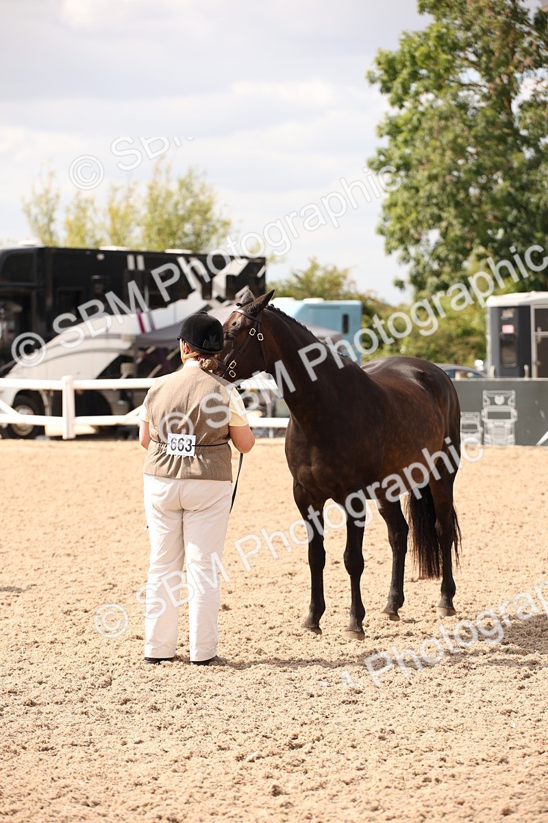 SBM_04635 - Class 20 IH Veteran