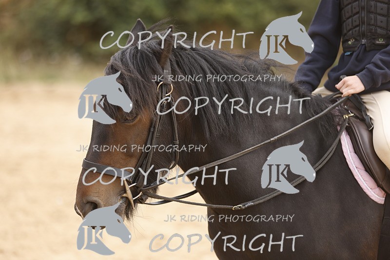 _R6A0931 - Sand arena