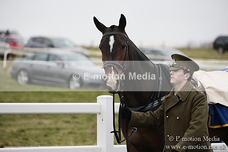 PtP 180218 40 - Combined Services Point-to-Point Larkhill 18/02/18