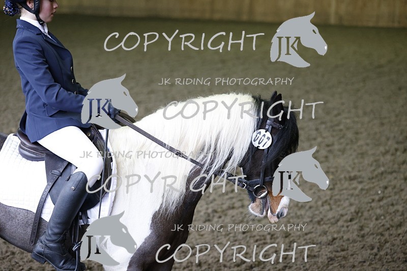 _R6A1313 - Class 1 walk trot 2022