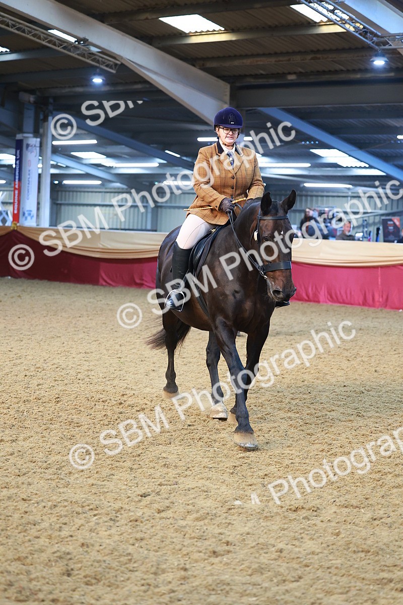 SBM_09422 - Class 102 - HOYS Veteran Qualifier - Ridden Veteran