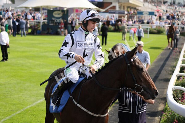 yr05092021r1-5 - Race 1 2.10pm IRE-Incentive It Pays To Buy Irish ebfstallions.com Novice Stakes