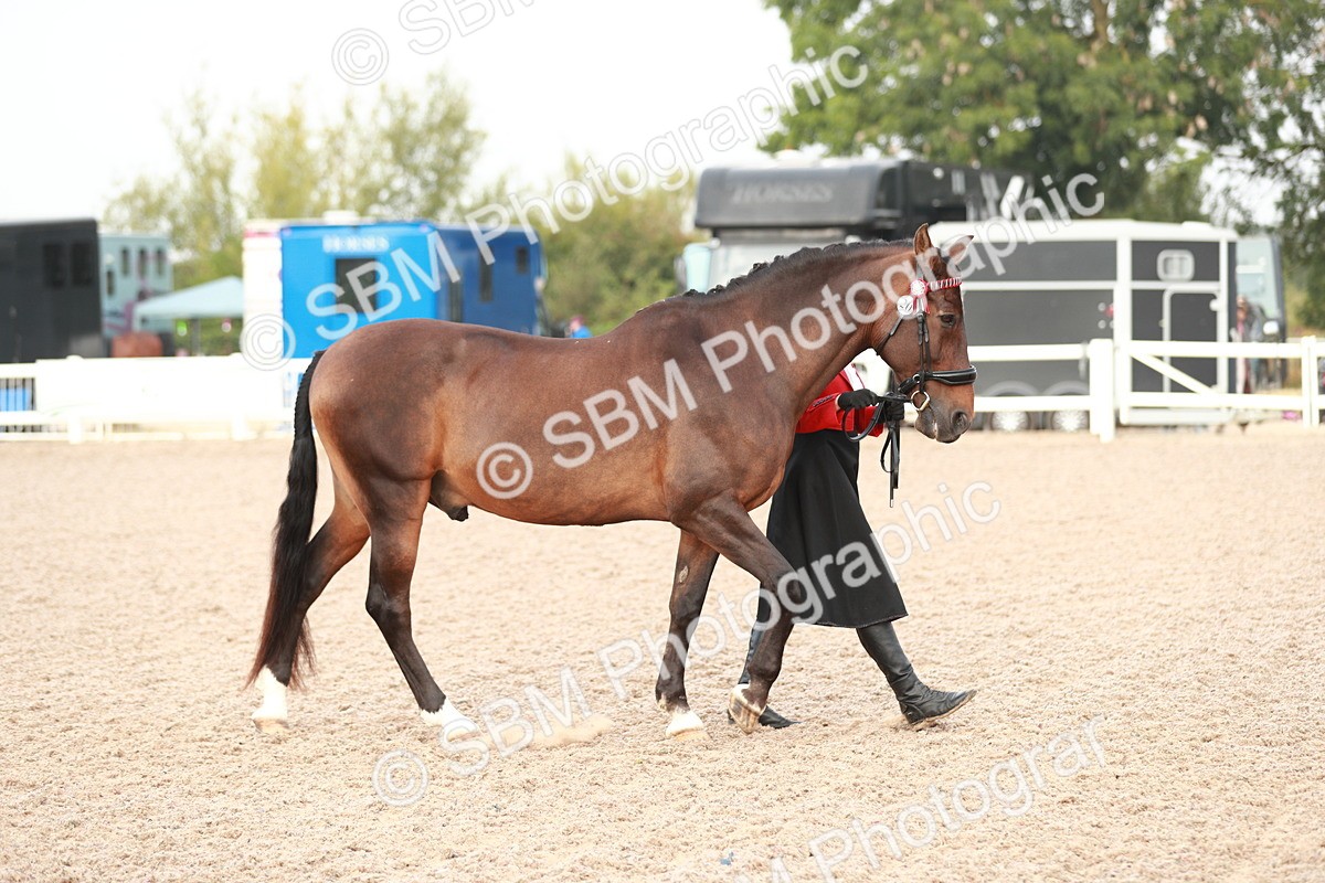 SBM_09483 - Class 201 Best Turned Out IH