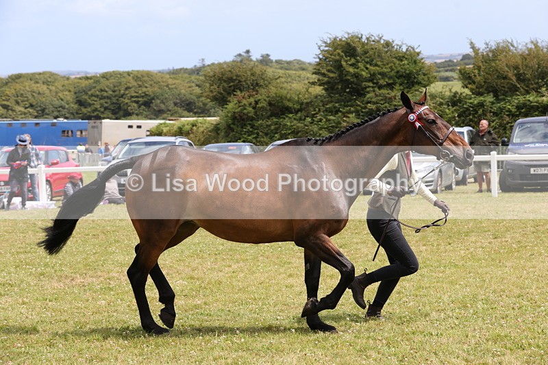 1X9A4909 - Class 35: Veteran In Hand