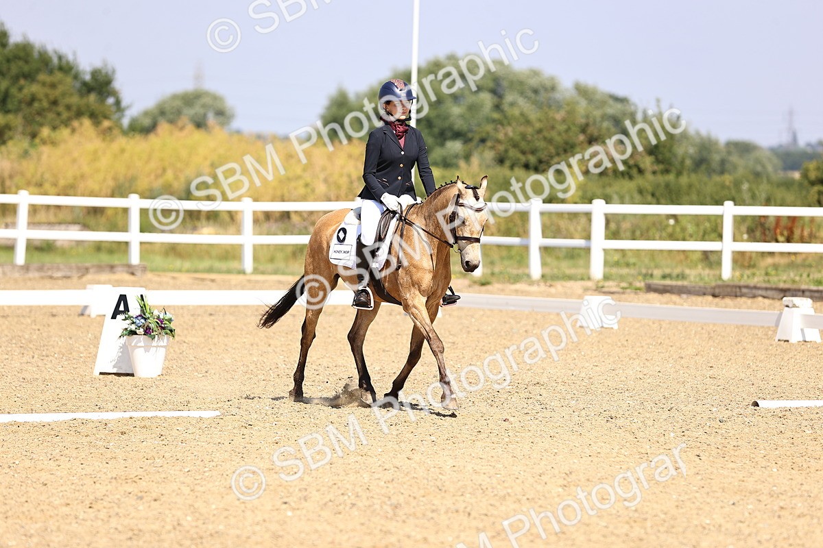 SBM_003580 - Intro 2