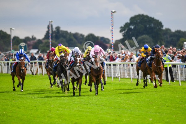 240823-Race 4-Warm Heart-0500 - Race 4 3.35pm Pertemps Network Yorkshire Oaks