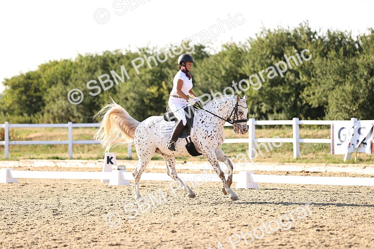 SBM_007819 - Elementary 4 - 17.07-18.22