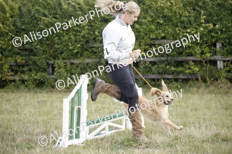 20250831-3868 - Dog Show