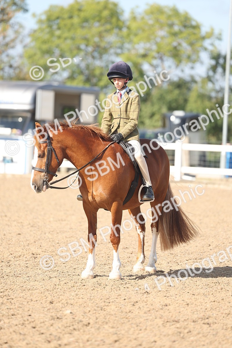 SBM_22625 - Class 804 - Ridden Veteran Pony