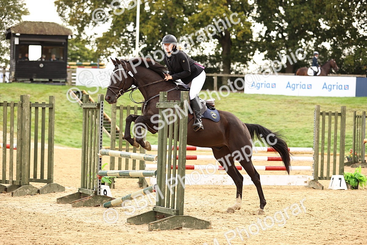 SBM_58480 - J41 - Grand Tour Horse & Pony 95cm