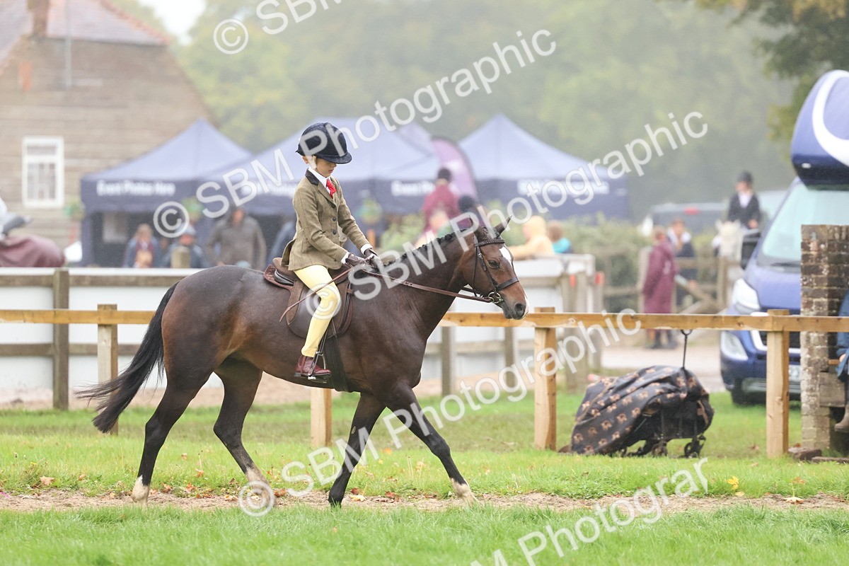 SBM_73027 - S63 Show Pony & Show Hunter Pony Ridden