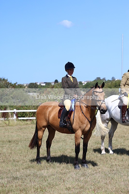 3E7A6293 - Class 6: Working Hunter 1m