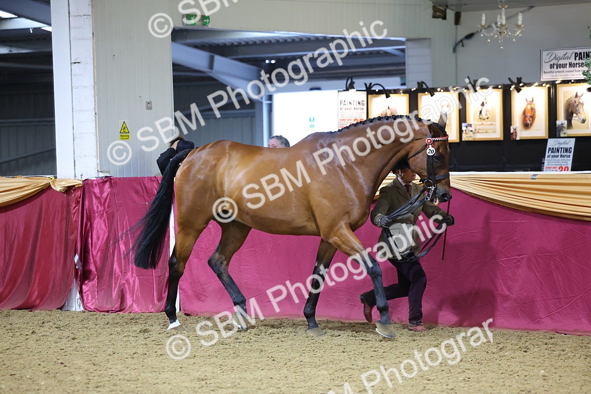 SBM_20766 - Class 902 - Supreme Final IH Veteran