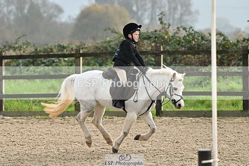 241110-103434-00350 - 40cm Showjumping