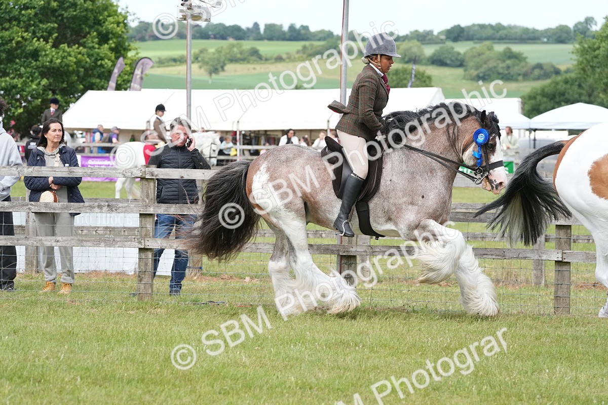 SBM_17669 - Class 107-108 - LIHS BSPS Performance Coloured Horse Pony