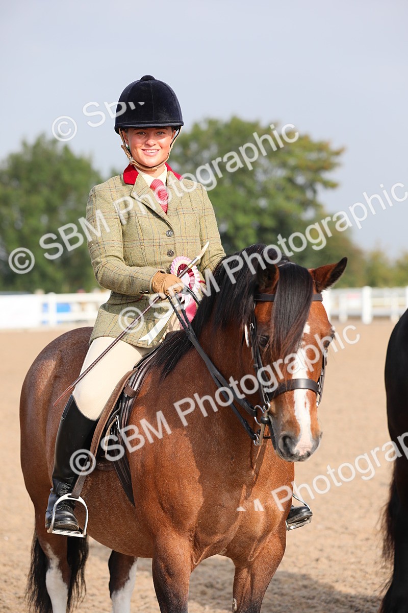 SBM_10172 - Class 302 Ridden M&M -Large Breeds