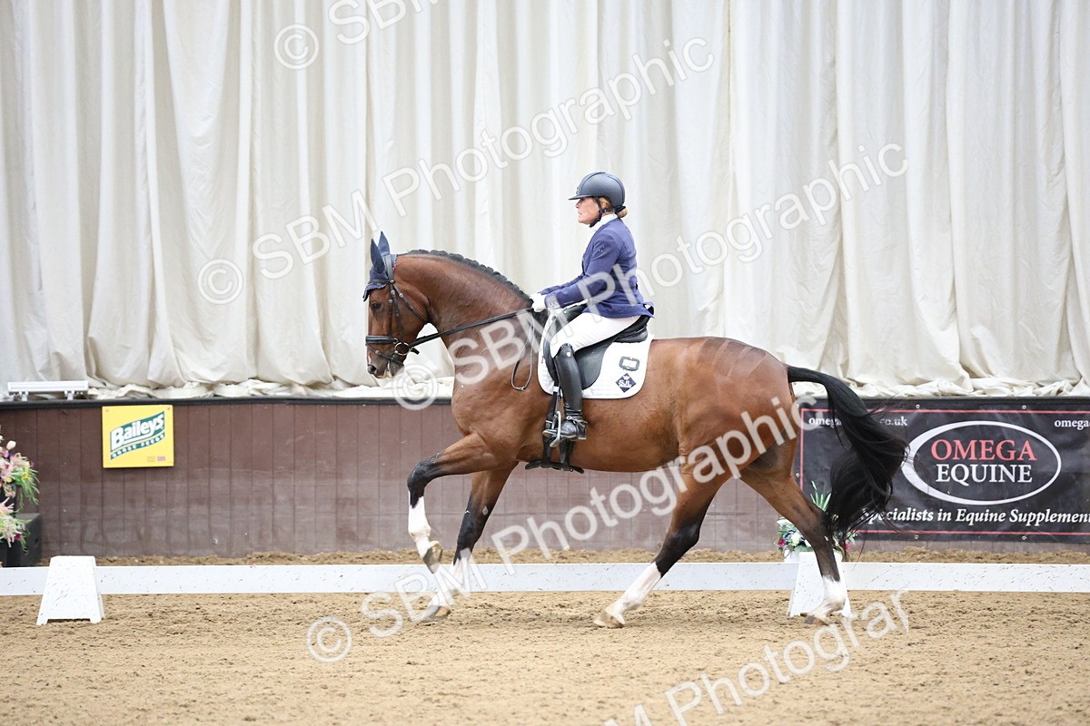 SBM_003473 - Class 5 - Novice 6 Gold - 13.05-14.00