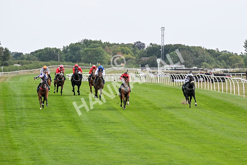 260826-Race 1-Mugheer-2092 - Race 1 14:15 Yorkshire Dales Distillery / EBF Restricted Maiden Stakes
