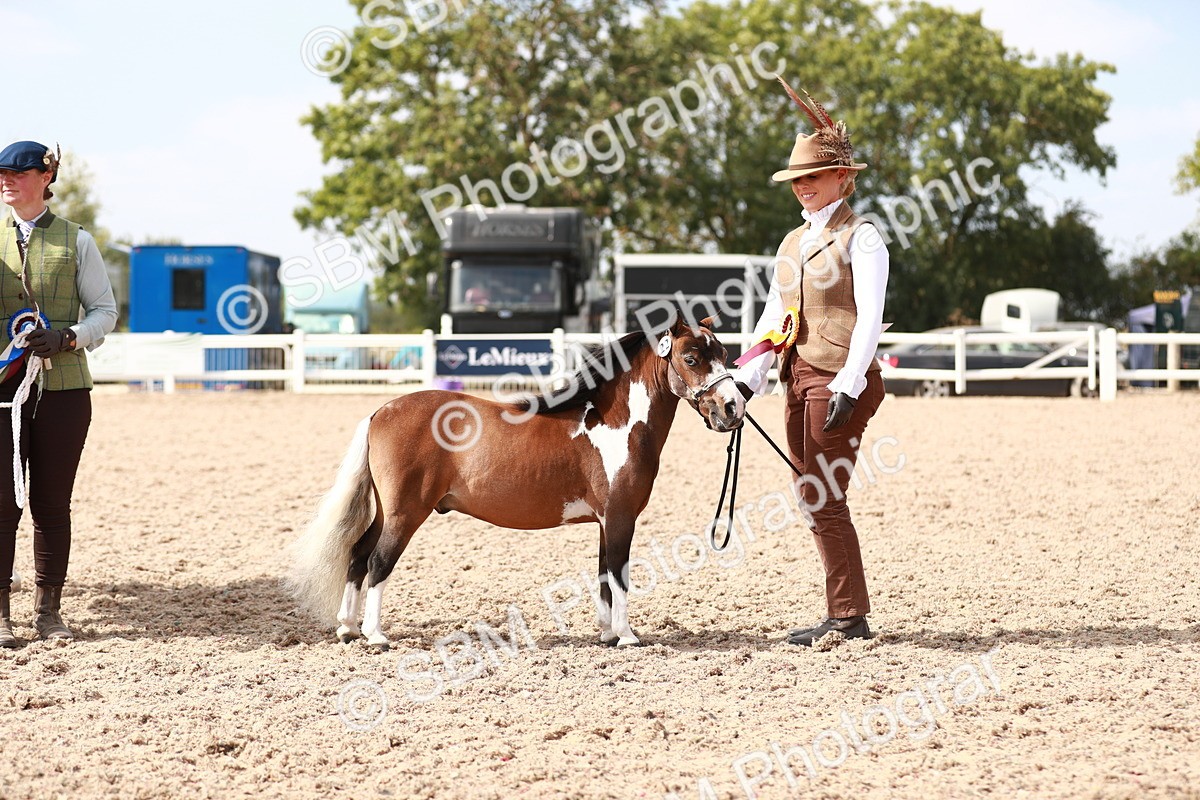 SBM_13950 - Class 209 IH Veteran Pony