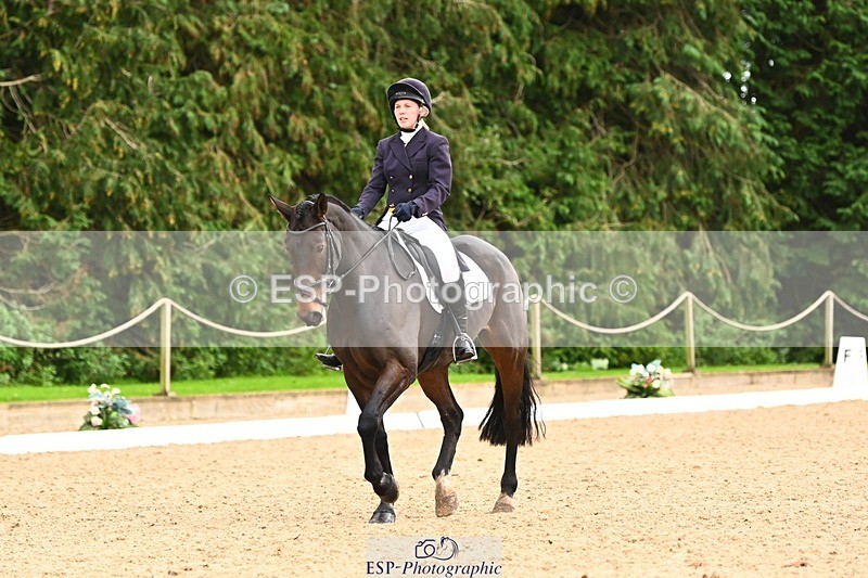 231020-154937-11953 - 217-CEFNPANT.IOLO-Katie.Thomas-DR