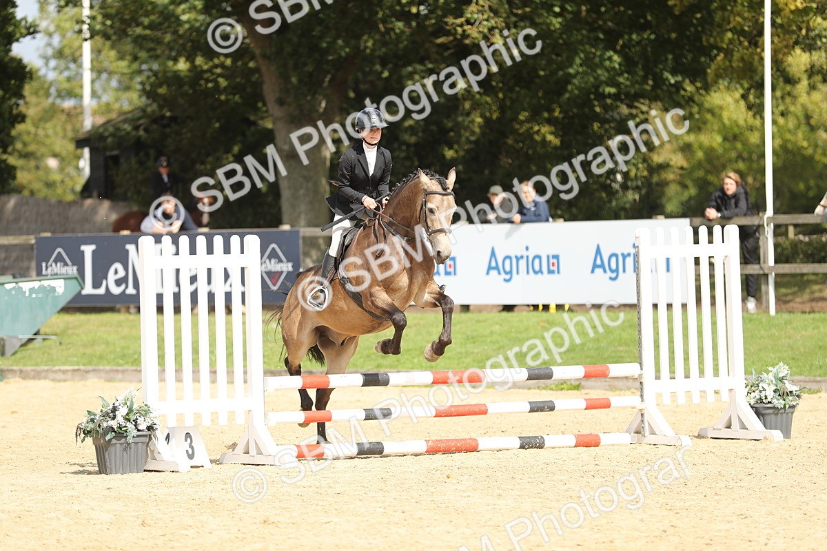 SBM_06402 - J29 - Senior Horse & Pony 65cm Championship