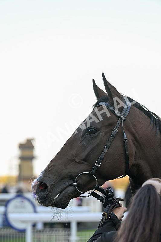 240924-Race 8-Claxton Bay-7201 - Race 8