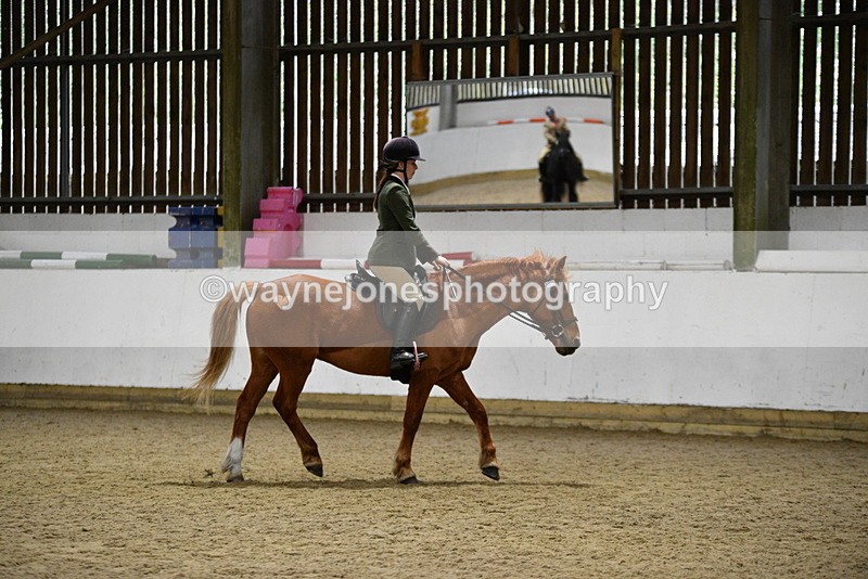 WJ5_8501 - Class 14 Novice Ridden/Rider