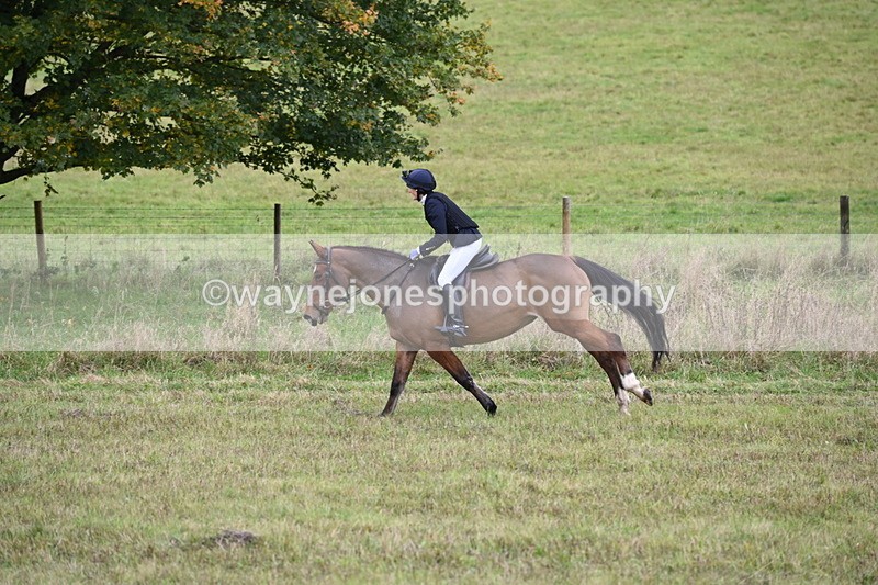 WJ6_1069 - Camera 2 Line 2