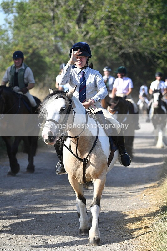 WJ5_4901 - Walk out with the hounds