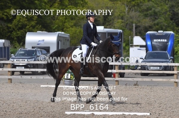 BPP_6164 - 8 S LAVERS