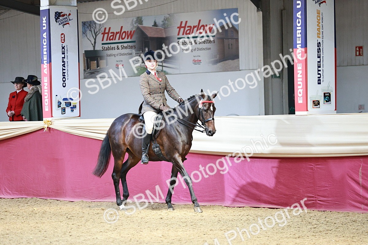 SBM_06951 - Class 10R - Regional Ridden Diamond