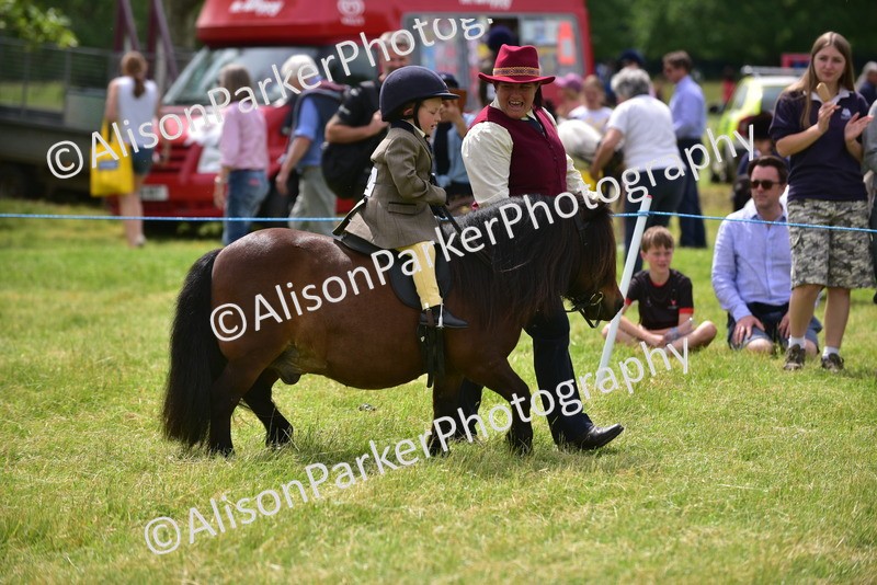 20260614-3966 - Class 16 - Handsome Gelding