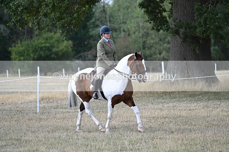 WJ7_6836 - Class 14 Ridden Coloured