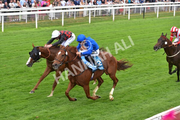yr22072022r2-38 - Race 2 5.50pm eventmasters.co.uk Stakes